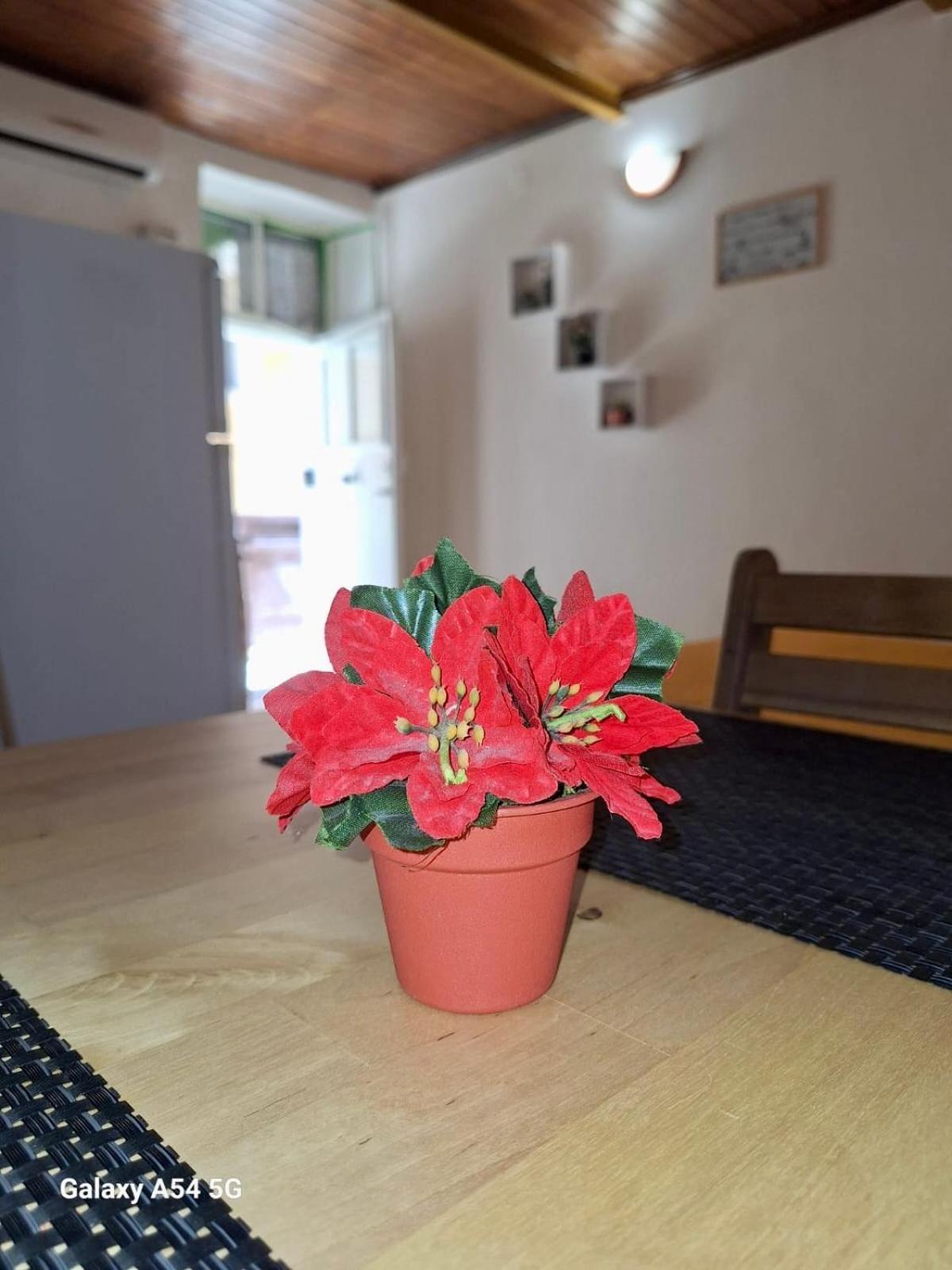 Appartamento Bentivegna 7 *